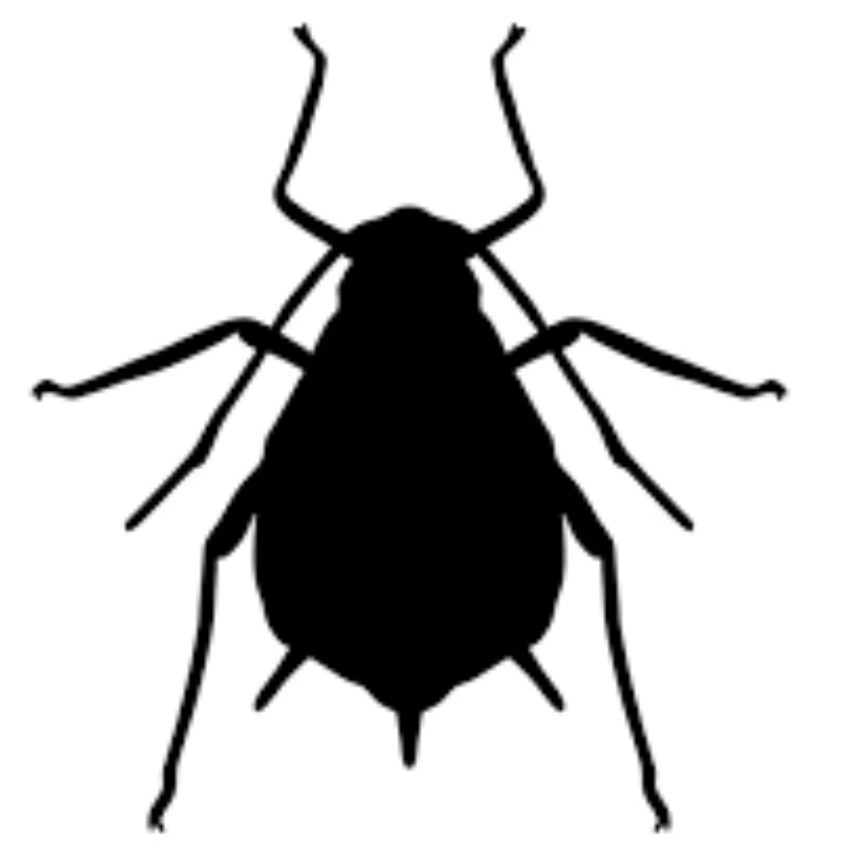 Уничтожение тли